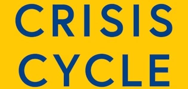 Crisis Cycle: Challenges, Evolution, and Future of the Euro